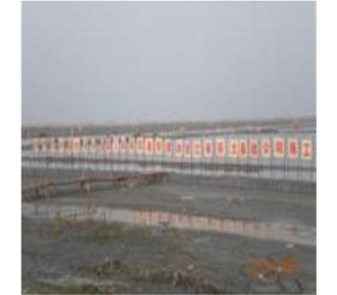 温州民科永兴南园软基处理工程